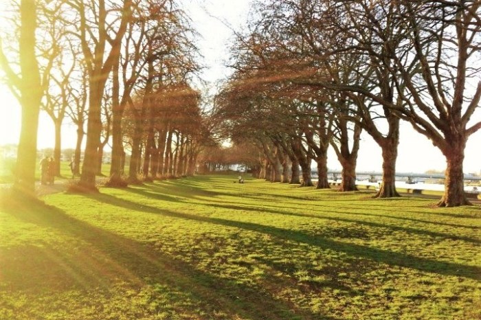 Find a park for a picnic! My local park and favorite place to lounge in the sun was Wandsworth Park.