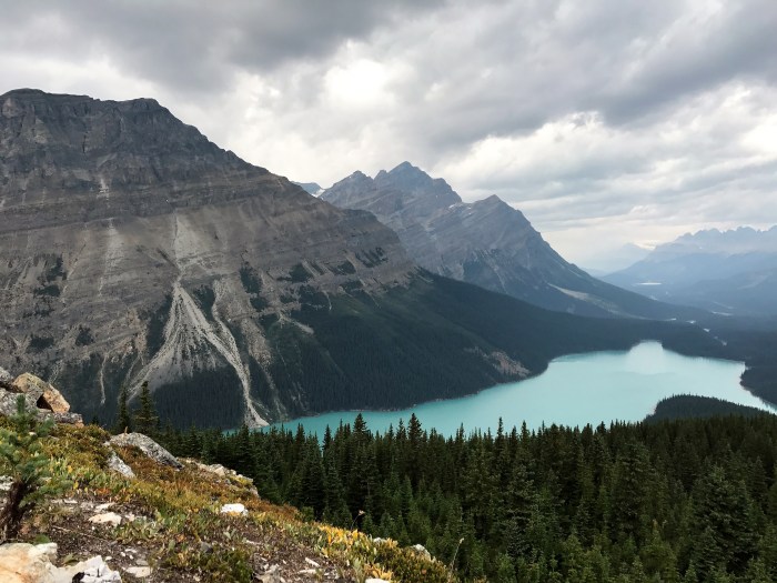 peyto lake view