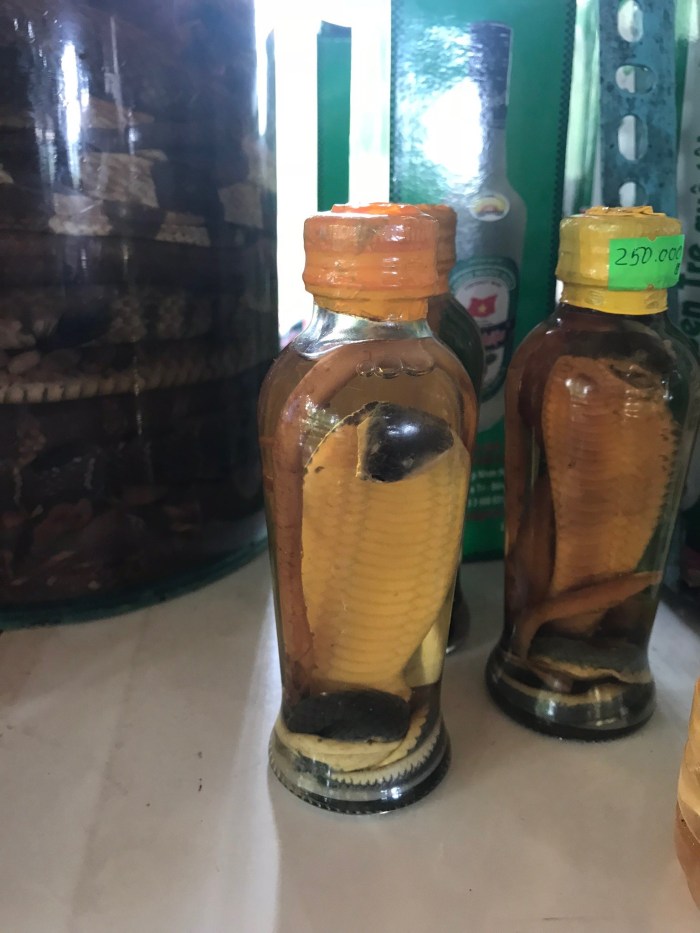 sv-9 - snake wine