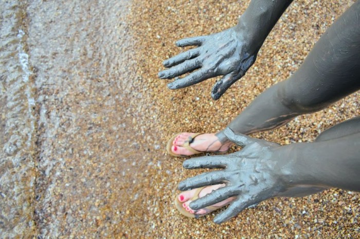 dead sea mud