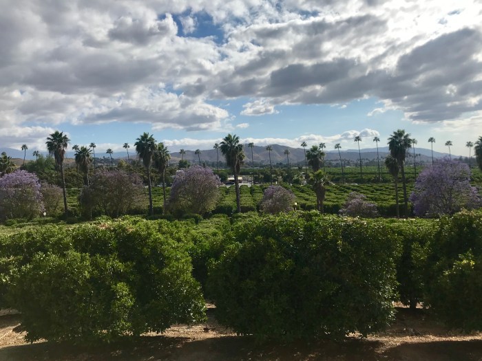 California Historic Citrus State Park