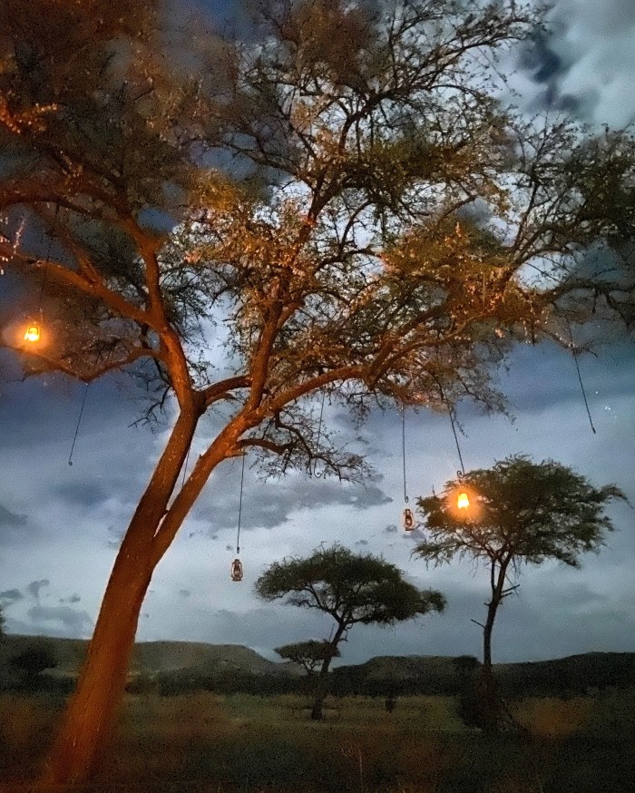 2e3f5705-8fd1-490b-a85e-7be3259968a1