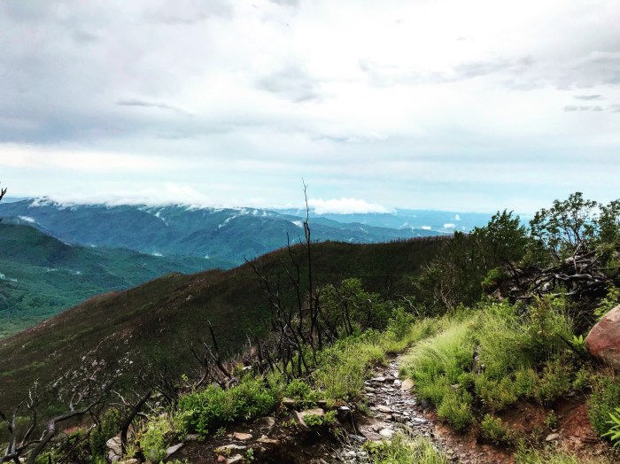 1626bd68-2ea6-4711-a933-3e0d82439ed7