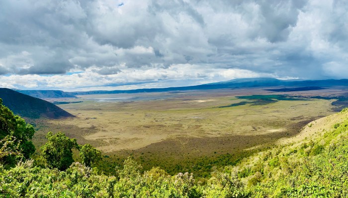 4b3608a1-cb16-4b2d-8a91-b7a1123201ea