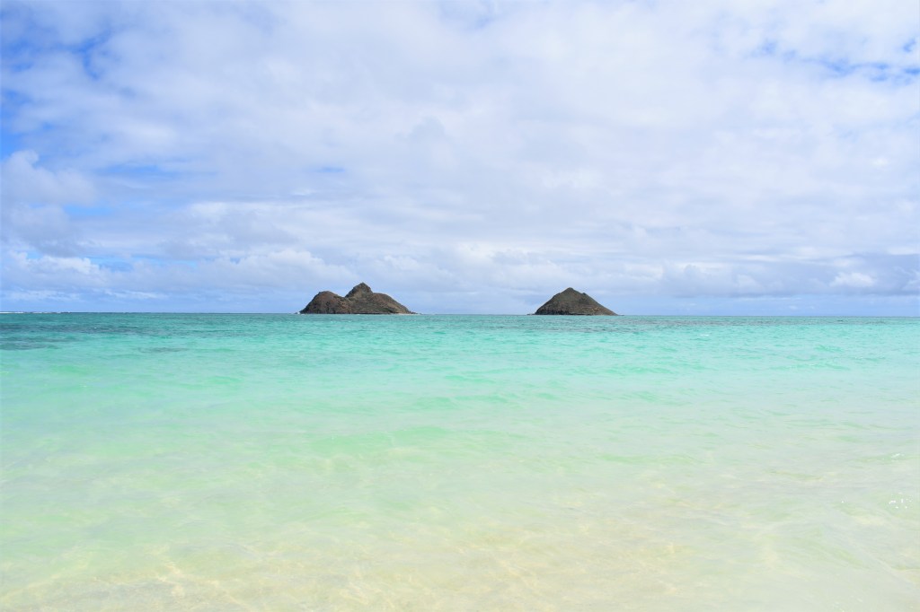 The Mokes The Mokes in Oahu